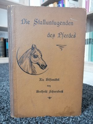 Die Stalluntugenden des Pferdes