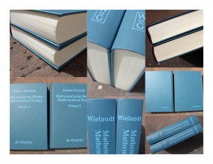 Helmut Wielandt: Mathematische Werke / Mathematical Works. Edited by Bertram Huppert and Hans Schneider. Erster und zweiter Band (komplett). Volume 1: […]