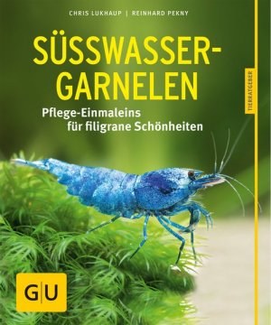 Süßwasser-Garnelen Pflege-Einmaleins für filigrane Schönheiten