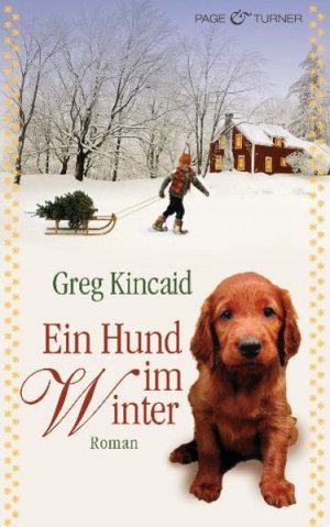 gebrauchtes Buch – Kincaid, Greg und Gabriele Zigldrum – Ein Hund im Winter Roman