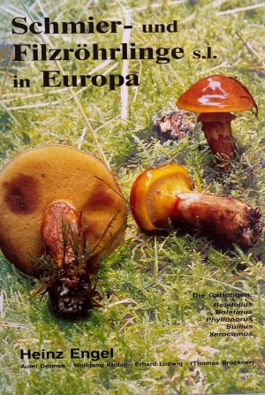 Schmier- und Filzröhrlinge s.l. in Europa. die Gattungen: Boletellus, Boletinus, Phylloporus, Suillus, Xerocomus.