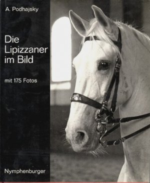 Die Lipizzaner im Bild