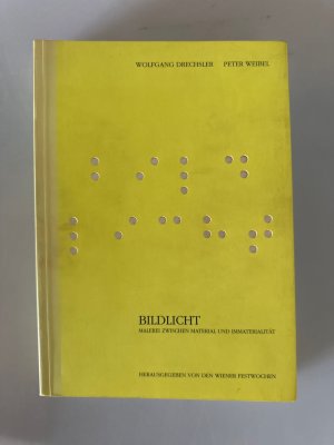 Bildlicht. Malerei zwischen Material und Immaterialität.