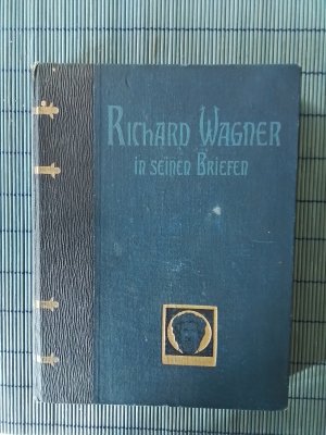 Richard Wagner in seinen Briefen