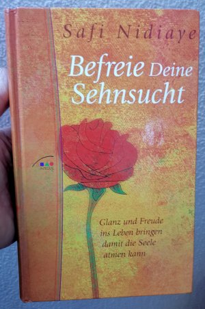 gebrauchtes Buch – Safi Nidiaye – Befreie Deine Sehnsucht