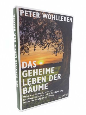 gebrauchtes Buch – Peter Wohlleben – Das geheime Leben der Bäume. Was sie fühlen, wie sie kommunizieren - die Entdeckung einer verborgenen Welt