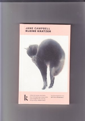 gebrauchtes Buch – Campbell, Jane und Bettina Abarbanell – Kleine Kratzer: Storys aus dem Englischen von Bettina Abarbanell