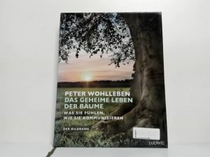 gebrauchtes Buch – Wohlleben, Peter und Kilian Schönberger – Das geheime Leben der Bäume : was sie fühlen, wie sie kommunizieren