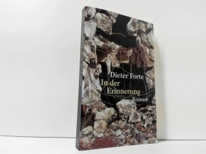 gebrauchtes Buch – Dieter Forte – In der Erinnerung : Roman ; Fischer ; 14932