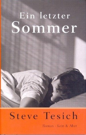 gebrauchtes Buch – Tesich, Steve - – Ein letzter Sommer : Roman