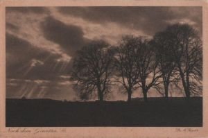 gebrauchtes Buch – Postkarte: Baeume nach dem Gewitter