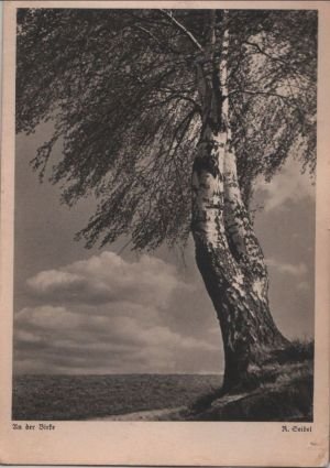 gebrauchtes Buch – Postkarte: An der Birke zwei Baeume