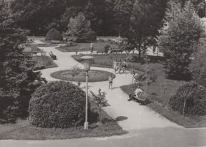 gebrauchtes Buch – Postkarte: Busko-Zdroj - Polen - Park