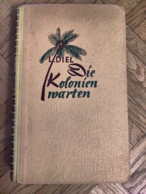 antiquarisches Buch – Louise Diel – Die Kolonien warten - Afrika im Umbruch