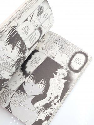 gebrauchtes Buch – Yabuki, Kentaro; Hasemi – Love Trouble Darkness Bd. 17