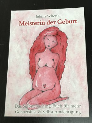 gebrauchtes Buch – Jobina Schenk – Meisterin der Geburt