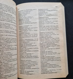 gebrauchtes Buch – Dictionar / German - Roman    Roman - German