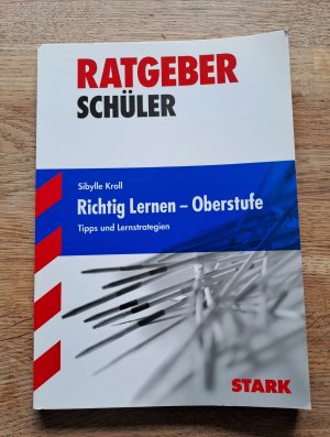 gebrauchtes Buch – Sibylle Kroll – Richtig lernen