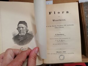 Flora von Westfalen. Die in der Provinz Westfalen wild wachsenden Gefäss-Pflanzen