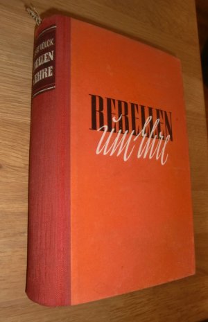 Rebellen um Ehre - Mein Kampf für die nationale Erhebung 1918-1933