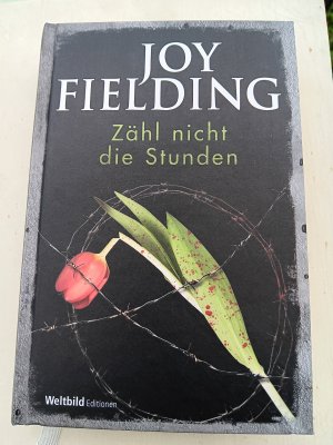 gebrauchtes Buch – Joy Fielding – Zähl nicht die Stunden