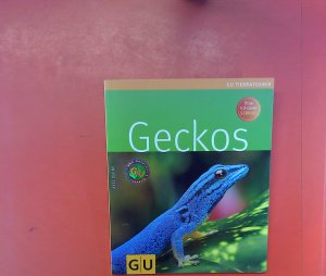 gebrauchtes Buch – Axel Dehne – Geckos, 1. Auflage