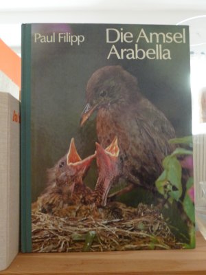 Die Amsel Arabella