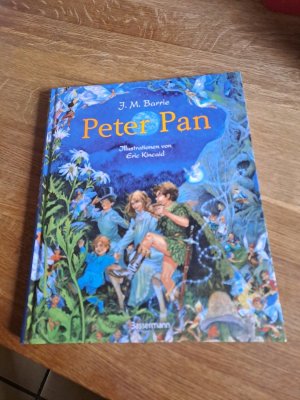 gebrauchtes Buch – Barrie, J. M – Peter Pan