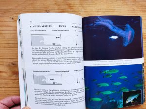 gebrauchtes Buch – Patzner, Robert A – Mittelmeer / Fische