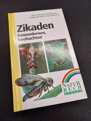 Zikaden