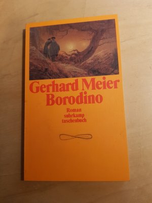 gebrauchtes Buch – Gerhard Meier – Toteninsel