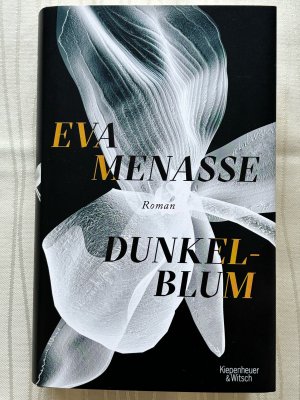 gebrauchtes Buch – Eva Menasse – Dunkelblum