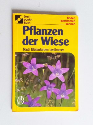 Pflanzen der Wiese