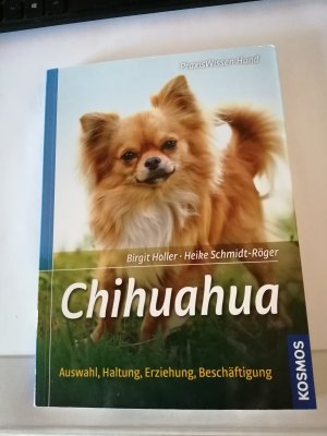 gebrauchtes Buch – Holler, Birgit; Schmidt-Röger – Chihuahua - Auswahl, Haltung, Erziehung, Beschäftigung