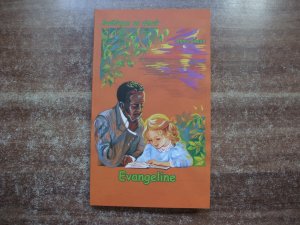 gebrauchtes Buch – Anna Steen – Evangeline