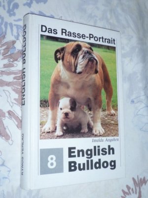 English Bulldog