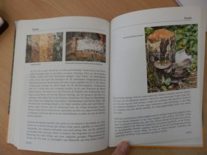 gebrauchtes Buch – Holzer, Sepp; Holzer – Sepp Holzers Permakultur - Praktische Anwendung in Garten, Obst- & Landwirtschaft