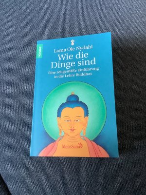 gebrauchtes Buch – Nydahl, Lama Ole – Wie die Dinge sind - Eine zeitgemäße Einführung in die Lehre Buddhas