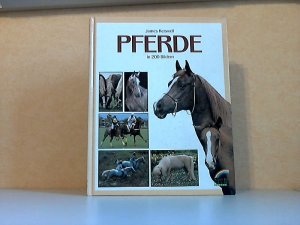 gebrauchtes Buch – James Kerswell – Pferde in 200 Bildern gebrauchtes Buch – James Kerswell – Pferde in 200 Bildern