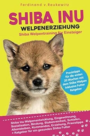 Shiba Inu Welpenerziehung