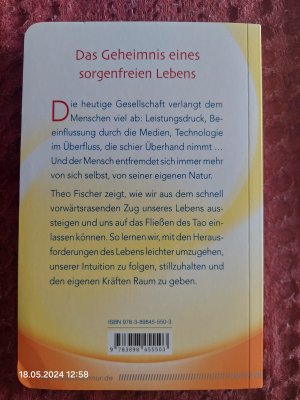 gebrauchtes Buch – Theo Fischer – Das Tao der Selbstfindung