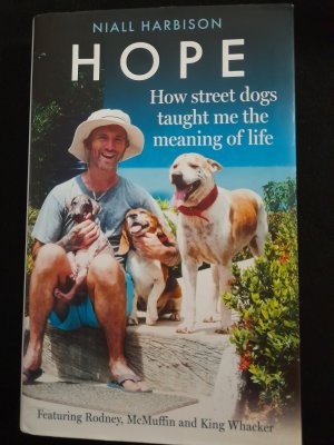 Hope. how street dogs taught me the meaning of life