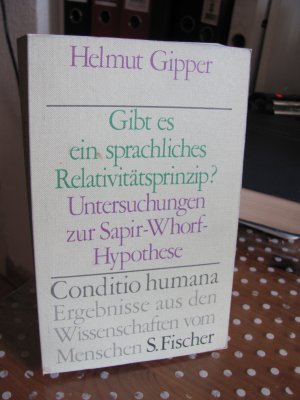 Gibt es ein sprachliches Relativitätsprinzip? - Untersuchungen zur Sapir-Whorf-Hypothese