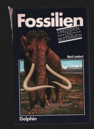 Fossilien erkennen und bestimmen