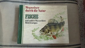 Fische und andere Wassertiere Mitteleuropas