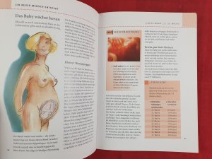 gebrauchtes Buch – Gebauer-Sesterhenn, Birgit; Villinger – Schwangerschaft und Geburt