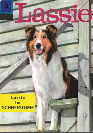 Lassie im Schneesturm