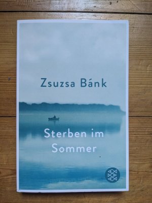 gebrauchtes Buch – Zsuzsa Bánk – Sterben im Sommer