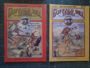 antiquarisches Buch – Buffalo Bill