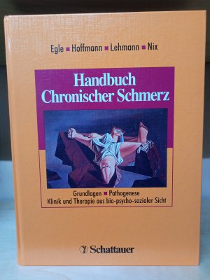 Handbuch Chronischer Schmerz - Grundlagen, Pathogenese, Klinik und Therapie aus bio-psycho-sozialer Sicht